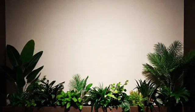 活动策划执行中的应用场景分析与常见误区澄清